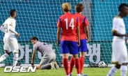[2014 월드컵]축구 가나전 참패, 주저앉은 정성룡을 어찌하오리까?