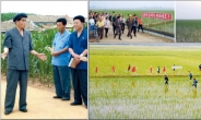 북한도 먹고 살려면…‘그린 데탕트’로 남북협력 새물꼬