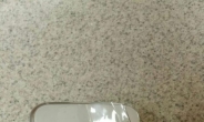 갤럭시S6 모델 유출…아이폰6와 닮은꼴?