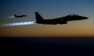 미군이 2조원 쏟아부은  IS공습, 도움 안 돼...“교착상태 티크리트 공습에 집중해야” 비판 고조