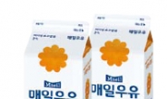 [봄 마케팅]매일유업‘저지방&고칼슘 2%’  ‘저지방=밍밍’?…마셔보니 고소해乳