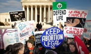 임신 30주만에 낙태한 미국인 여성에 징역20년…인디애나 법원, 유산에 의한 태아 살해 혐의 첫 적용
