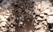 신라 귀족여성 무덤에서 순장된 남성 뼈 발견
