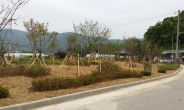 용인 생활환경숲에 시민 기증 수목 식재