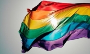 [궁금하면 질문]왜 무지개 깃발은 동성애의 상징이 됐나요?