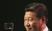 집권 3년차 시진핑의 대국굴기