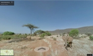 케냐 코끼리를 눈앞에서…구글, 삼바루 국립공원 스트리트뷰 ‘눈길’