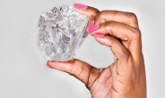 세계에서 두 번째로 큰 1111캐럿 다이아몬드 발견…최소 6000만 달러
