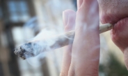 美고교생 6% “매일 대마초 핀다”…담배 흡연율 앞질러