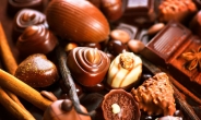 초콜릿이 녹지 않는다?…깔레보 등 유명 초콜릿 회사, 녹지 않는 초콜릿에 사활