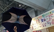 ‘성진국의 흔한 물건’, 우산 펼쳤더니…변태취향