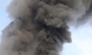 [속보] 서울대입구역 앞 대형 건물에서 화재…대피 중