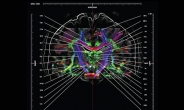 [김태열 기자의 알쏭달쏭 의료상식 ④] “알파고는 시작단계…전 세계는 인간의 뇌연구 열풍