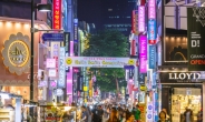 [서울관광 실태 보고서] 요우커도 못알아듣는 중국어 안내방송·한자 표시도 태부족