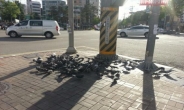 비둘기에 뺏긴 ‘장승배기 사거리 교통섬’ 공원된다