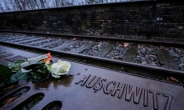 ‘나치 수용소’를 ‘폴란드 수용소’라 부르면 징역 3년