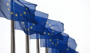 -EU “다국적기업에 공통 과세 기준” 법인세 개혁안 제안…불 지피는 조세주권 논란