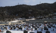 [성묘, 하셨나요①]설날이 더 쓸쓸한 묘지…성묘 문화도 변해