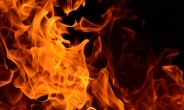 밭두렁 태우다 산불나면 ‘벌금’에 ‘징역형’까지