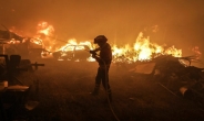 포르투갈 산불로 최소 61명 사망…“수십년만 최악의 비극”