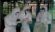 中 조류인플루엔자 공포 재점화…베이징서 올해 27명 감염