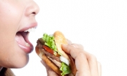 “시중 유통 햄버거, 장출혈성 대장균 검출 안됐다”