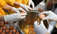 [살충제 계란 쇼크] 네덜란드 무역타격…식량안보 위협 가중