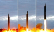 ‘북핵’ 앞마당 위협에 뿔난 국제사회…나토 “北核은 전 세계적 위협”