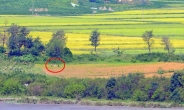 [헤럴드포토] ‘농사짓는 북한 주민들…’