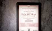 이탈리아 정부 인증 400% 캐시미어, ‘마리아 콘티지아니 캐시미어’ 국내 론칭