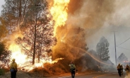 美 캘리포니아 나파 산불…비상사태 선포