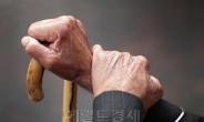 [설이 더 힘든 사람들②]“노인정이 차라리 더 편해”…자식 물리는 부모들