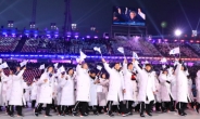 [굿바이 평창⑩] 숫자로 되돌아본 2018 평창동계올림픽