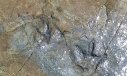 반구대 암각화 주변 공룡발자국 30점 무더기 발견