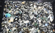태평양 플라스틱 쓰레기, 日·中이 가장 많이 버렸다