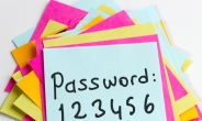 정부ㆍ공공기관이 좋아하는 ‘비번’은 ‘password123’?