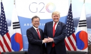 [순방 결산] 비핵화 불씨 살린 ‘文의 G20 순방’