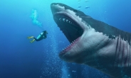 ‘괴물 상어’ 메갈로돈 멸종 이유 밝혀졌다