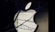 애플도 中 실적 예상치 대폭 하향…‘차이나쇼크’에 혼돈의 글로벌증시