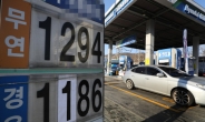 “기름값 올라 자동차 덜 탔다”…작년 차량 한대당 휘발유 소비량, 12년만에 최저치