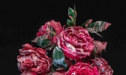 [지상갤러리]박효진, Blossom-peach, 66×100cm, pigment print, 2019