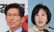 ‘文정부는 산불정부’ 김문수 발언에…손혜원 “홧불문수” 저격