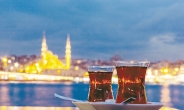 [aT와 함께하는 글로벌푸드 리포트] 세계 1위 茶소비국 터키에 부는 ‘혼합 음료’ 바람