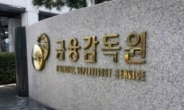 금감원-KOICA, 신남방국 보험감독 관계자들 초청연수