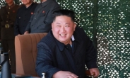 美 국방정보국장 “김정은 비핵화 준비되지 않았다”