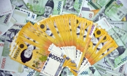 서민금융에 풀린 일본계자금 17조…日 금융보복시 영향권