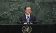 文대통령 “DMZ의 국제 평화지대화는 한반도 비핵화 위한 새로운 제안”
