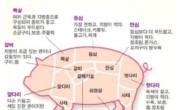 <농식품부·헤럴드경제 공동기획> ‘다이어트 식단의 필수’, 국산 돼지고기 먹을수록 건강