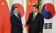 文대통령 “한반도 긴장, 北도 이롭지 않다”…시진핑 “한국은 친구이자 파트너”