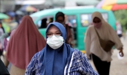 ‘코로나 無감염’ 인도네시아, 확진자 두 명 첫 확인